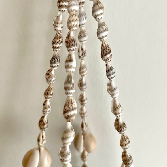 Shell Hanging Basket / Plant Hanger / Wall Hanging - Picture 10 of 16